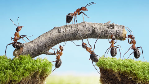 Teamwork A Momma s View Teamwork A Momma s View